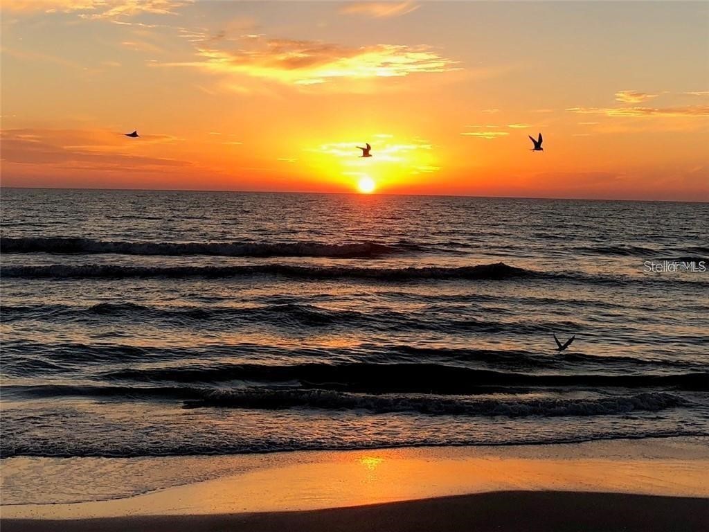 36750 Us 19 N #2763 Palm Harbor FL 34684 TB8364520 image81