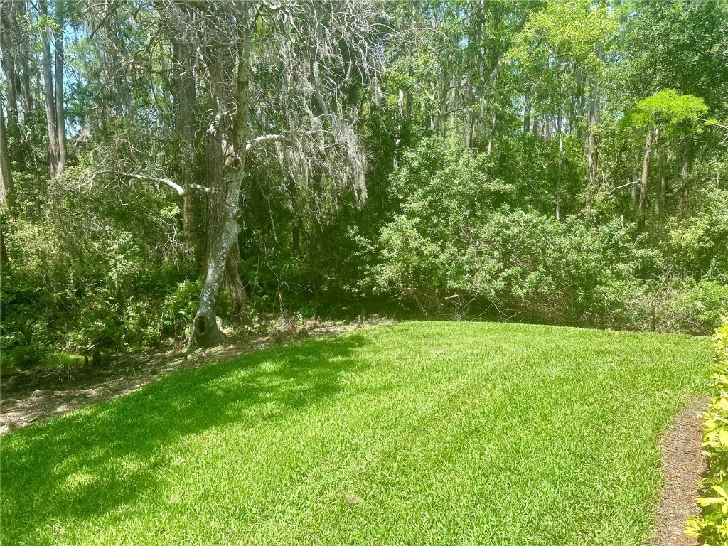 36750 Us 19 N #3-124 Palm Harbor FL 34684 TB8374642 image10