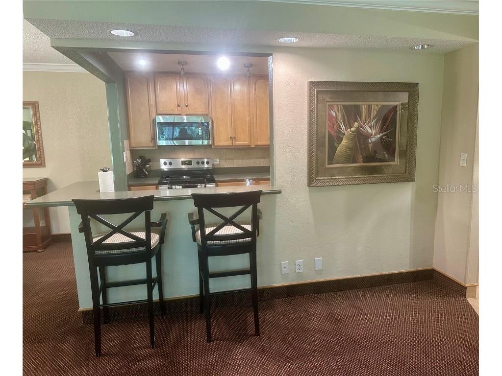 36750 Us 19 N #3-124 Palm Harbor FL 34684 TB8374642 image11