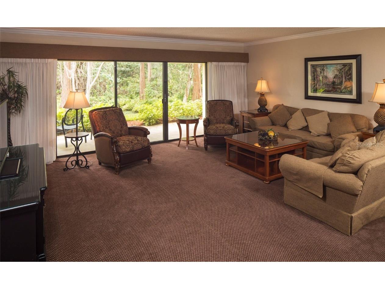 36750 Us 19 N #3-124 Palm Harbor FL 34684 TB8374642 image14