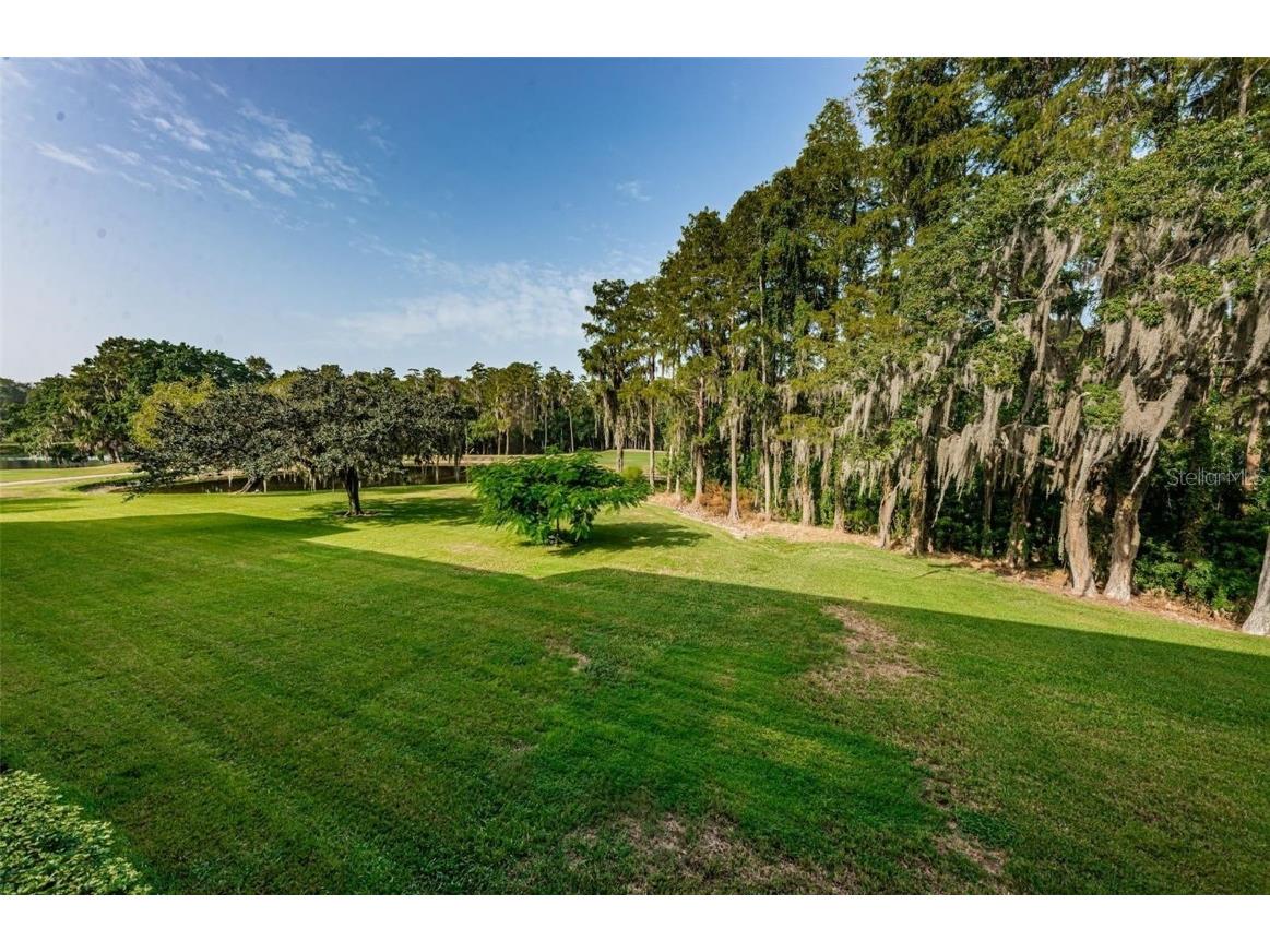 36750 Us 19 N #3-124 Palm Harbor FL 34684 TB8374642 image32