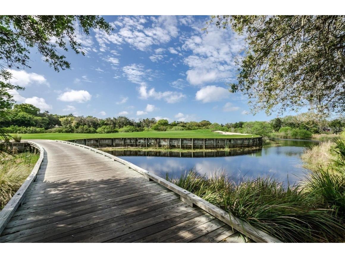 36750 Us 19 N #3-124 Palm Harbor FL 34684 TB8374642 image35