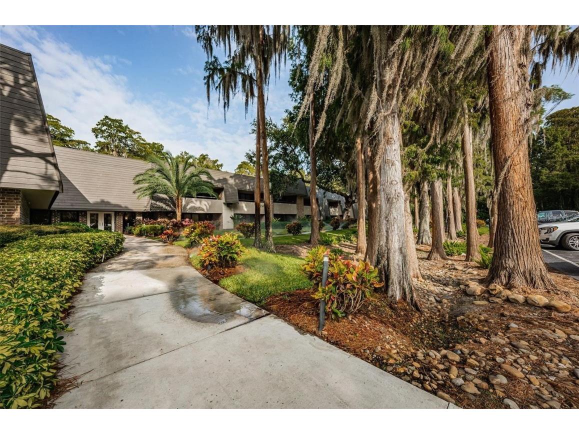 36750 Us 19 N #3-124 Palm Harbor FL 34684 TB8374642 image36