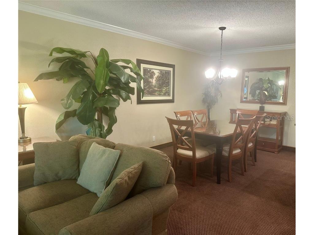 36750 Us 19 N #3-124 Palm Harbor FL 34684 TB8374642 image39