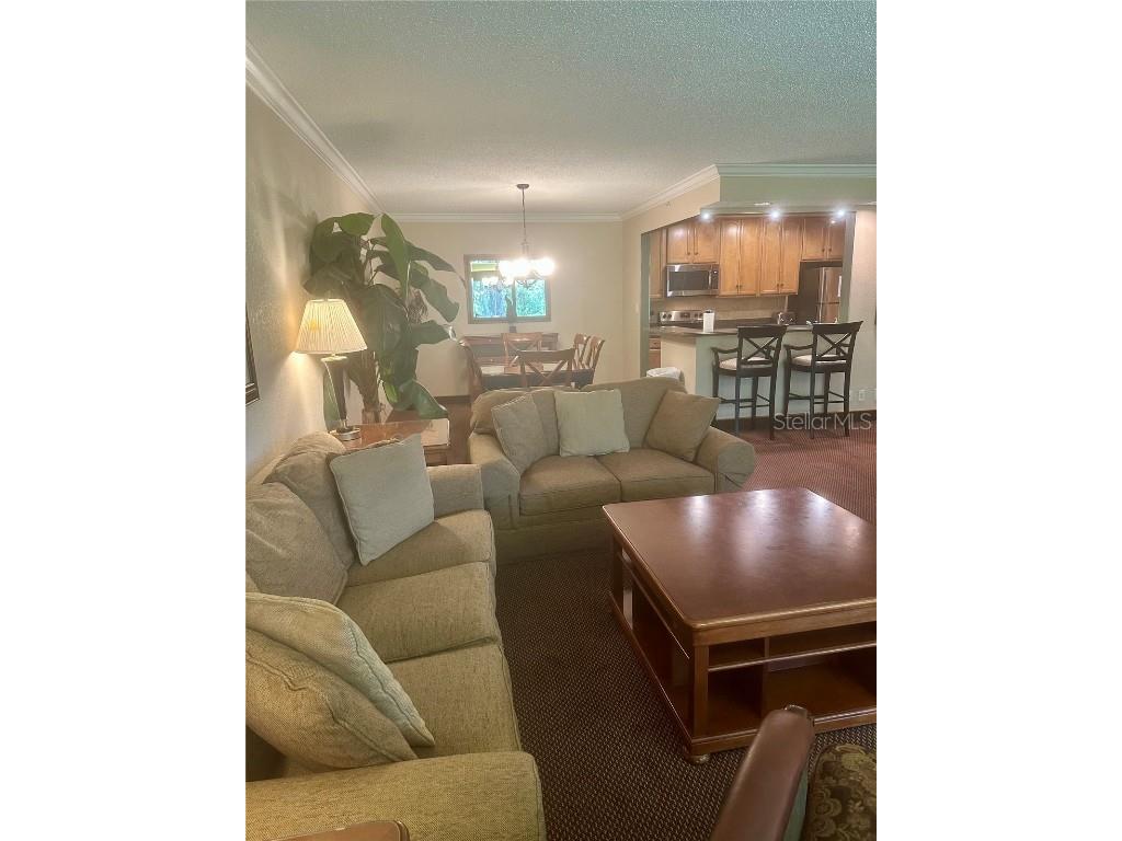 36750 Us 19 N #3-124 Palm Harbor FL 34684 TB8374642 image42