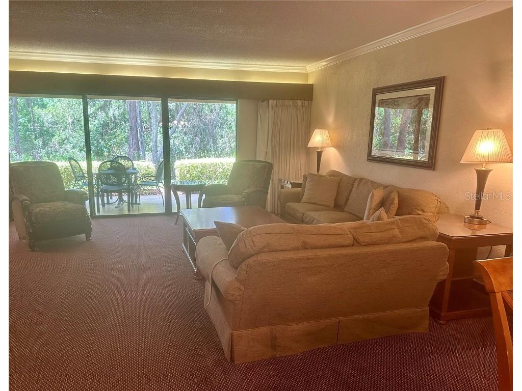 36750 Us 19 N #3-124 Palm Harbor FL 34684 TB8374642 image43