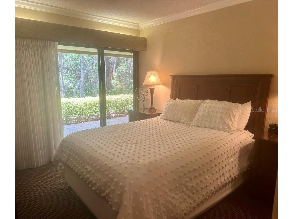 36750 Us 19 N #3-124 Palm Harbor FL 34684 TB8374642 image44