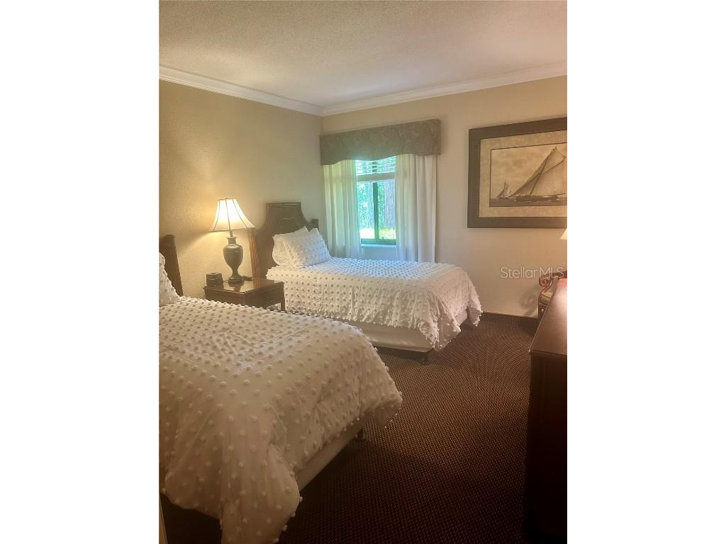 36750 Us 19 N #3-124 Palm Harbor FL 34684 TB8374642 image47