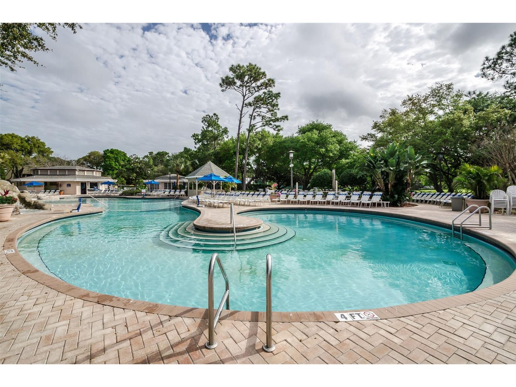 36750 Us 19 N #3-124 Palm Harbor FL 34684 TB8374642 image50