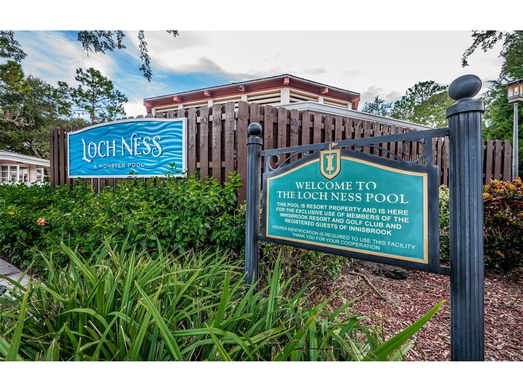 36750 Us 19 N #3-124 Palm Harbor FL 34684 TB8374642 image54