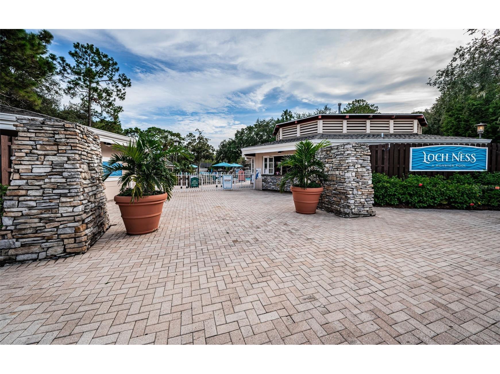 36750 Us 19 N #3-124 Palm Harbor FL 34684 TB8374642 image55