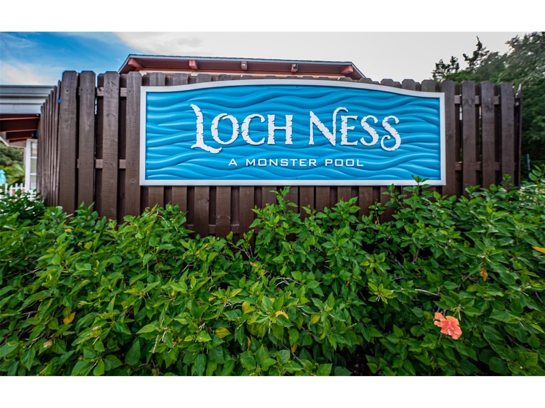 36750 Us 19 N #3-124 Palm Harbor FL 34684 TB8374642 image57