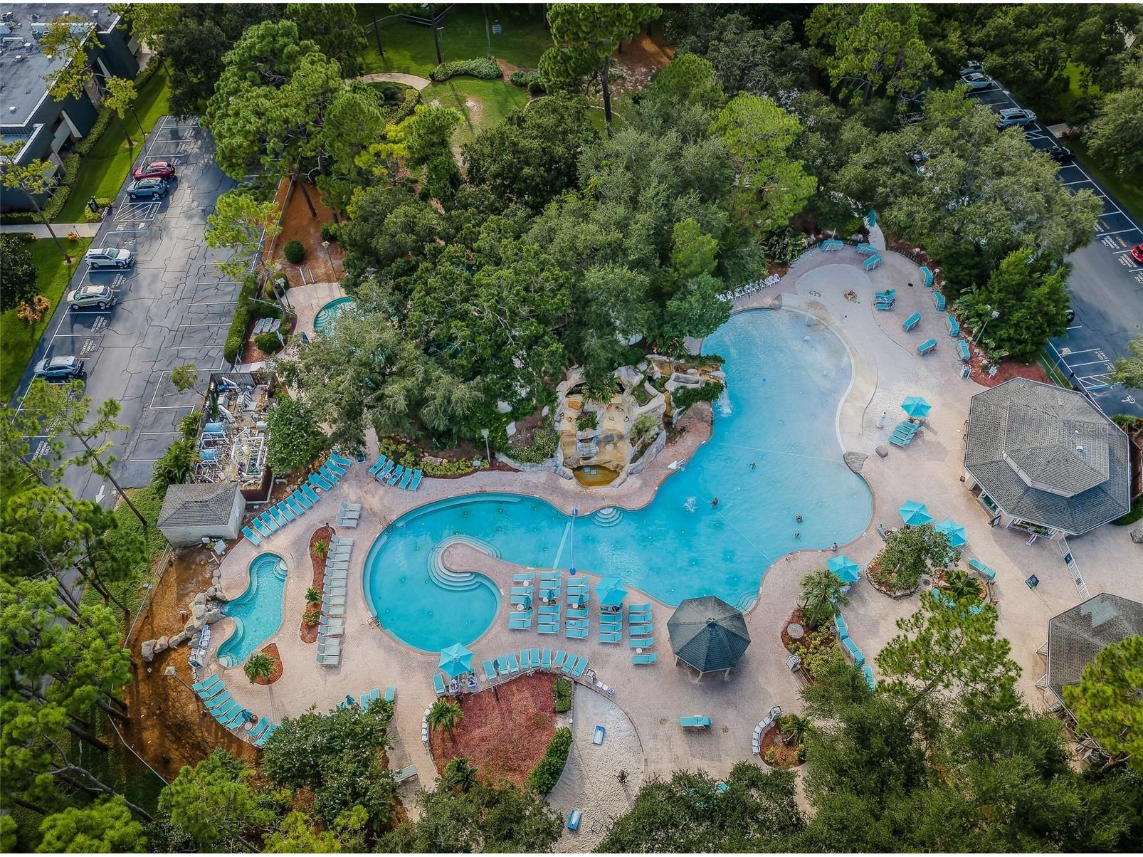 36750 Us 19 N #3-124 Palm Harbor FL 34684 TB8374642 image58