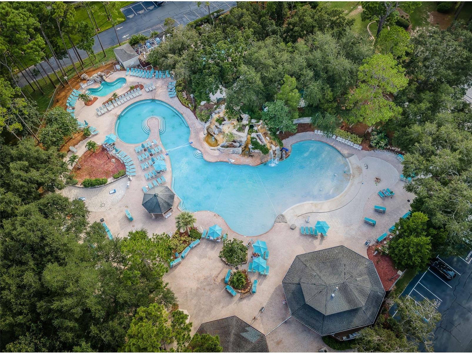 36750 Us 19 N #3-124 Palm Harbor FL 34684 TB8374642 image59