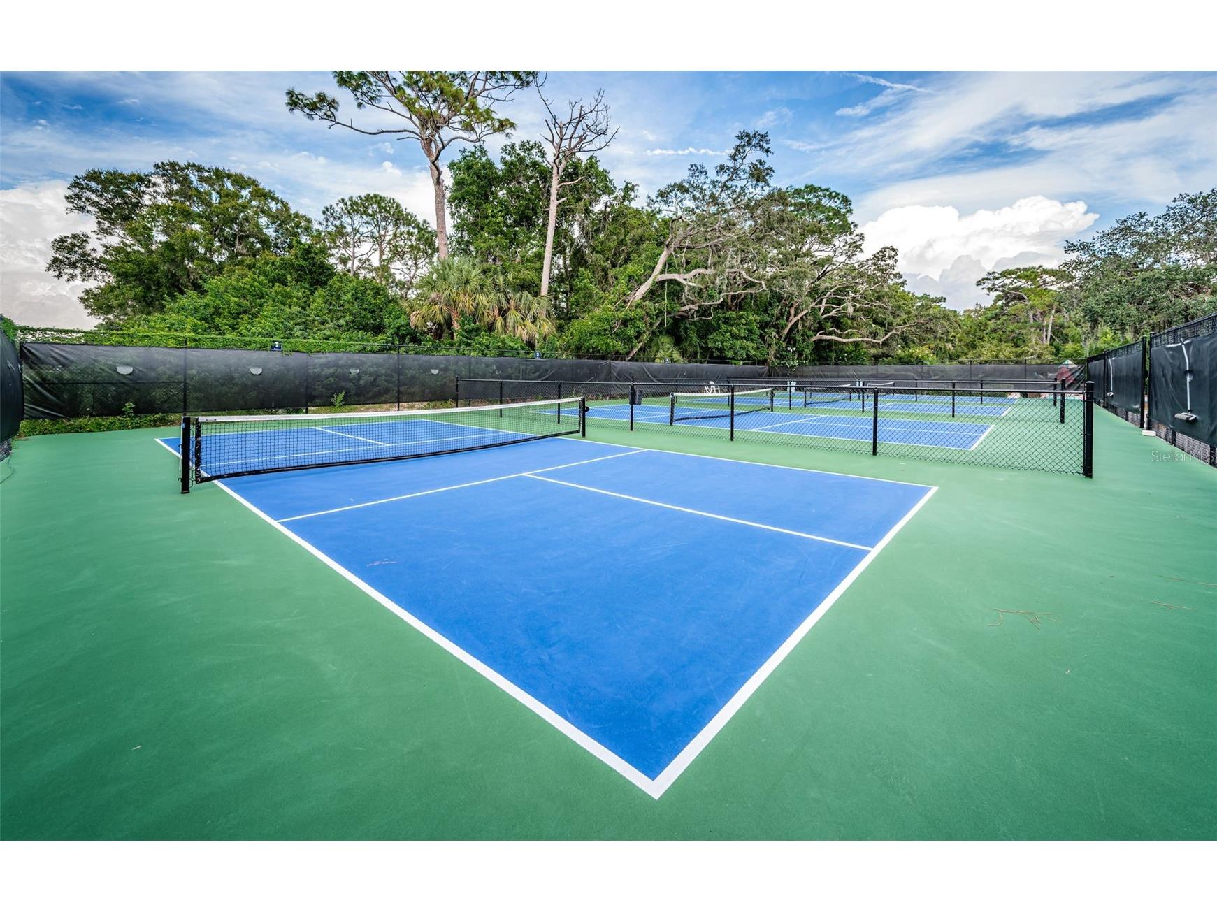 36750 Us 19 N #3-124 Palm Harbor FL 34684 TB8374642 image60