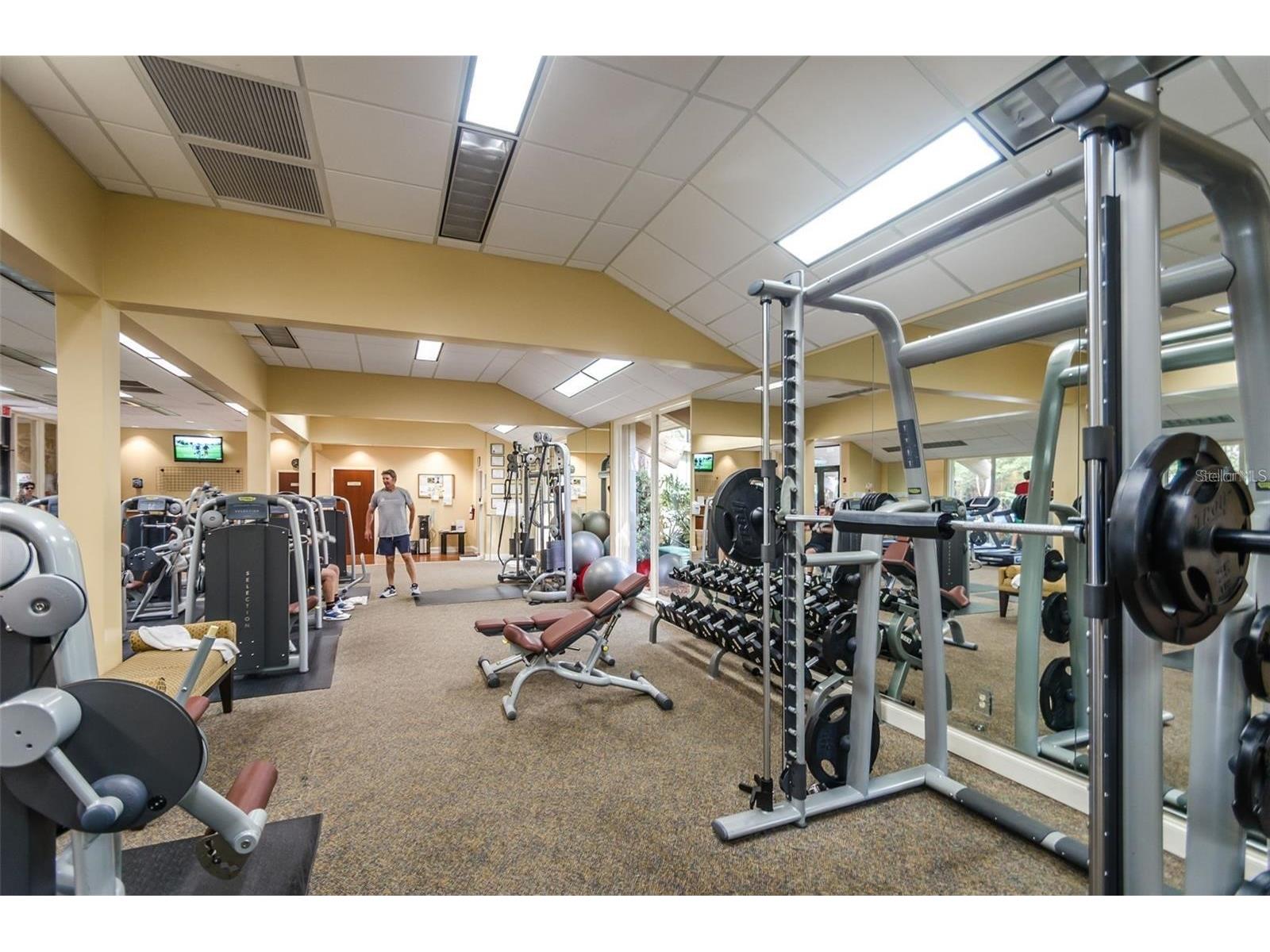 36750 Us 19 N #3-124 Palm Harbor FL 34684 TB8374642 image65