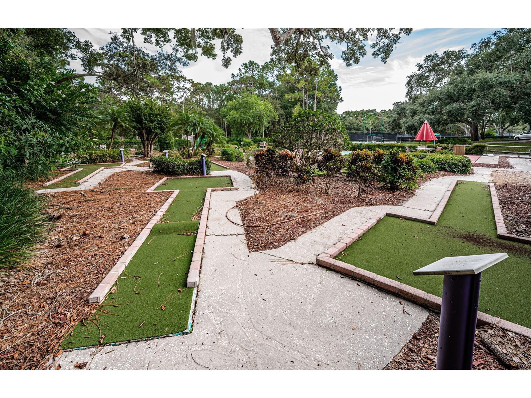 36750 Us 19 N #3-124 Palm Harbor FL 34684 TB8374642 image67