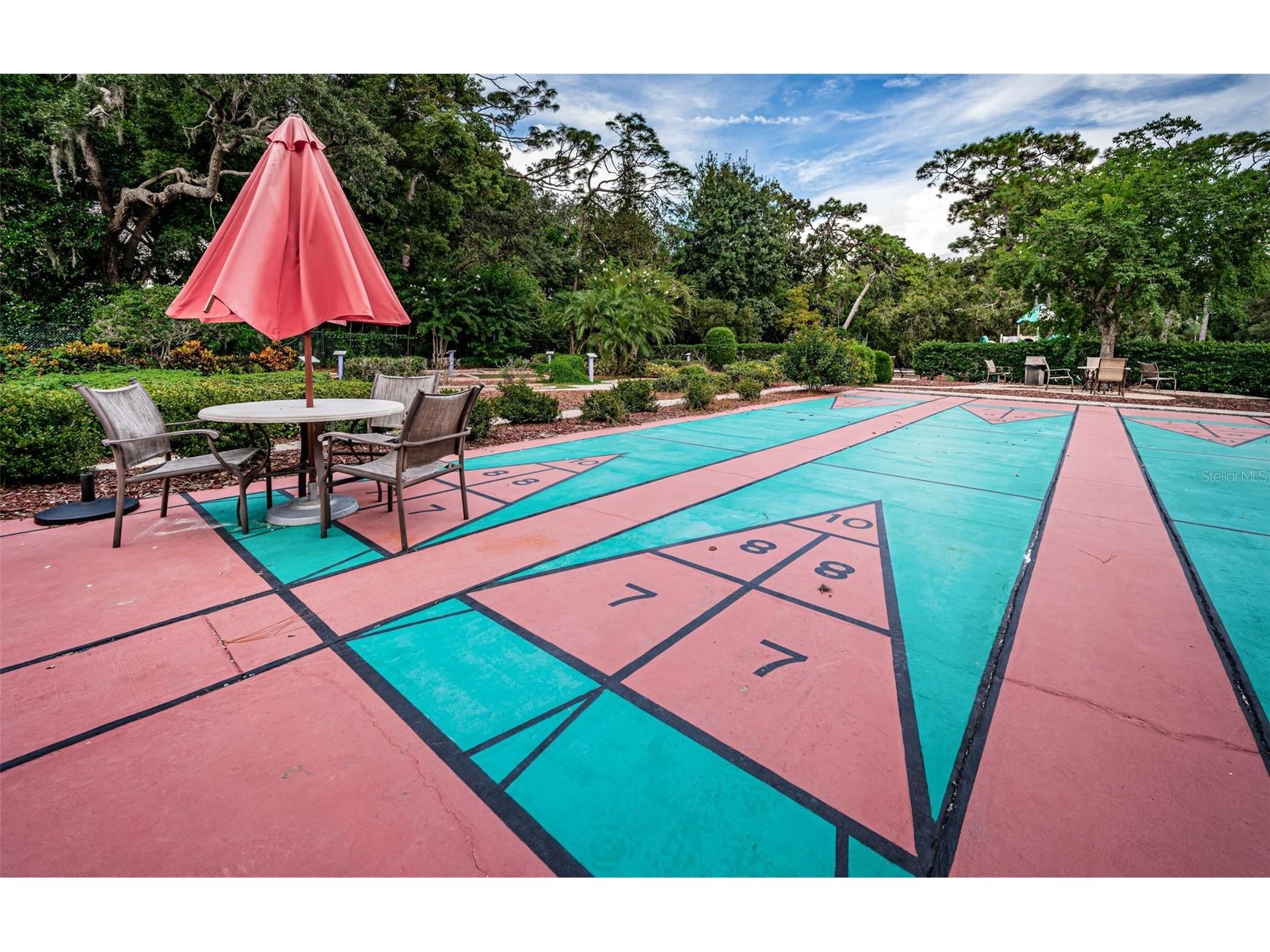 36750 Us 19 N #3-124 Palm Harbor FL 34684 TB8374642 image68