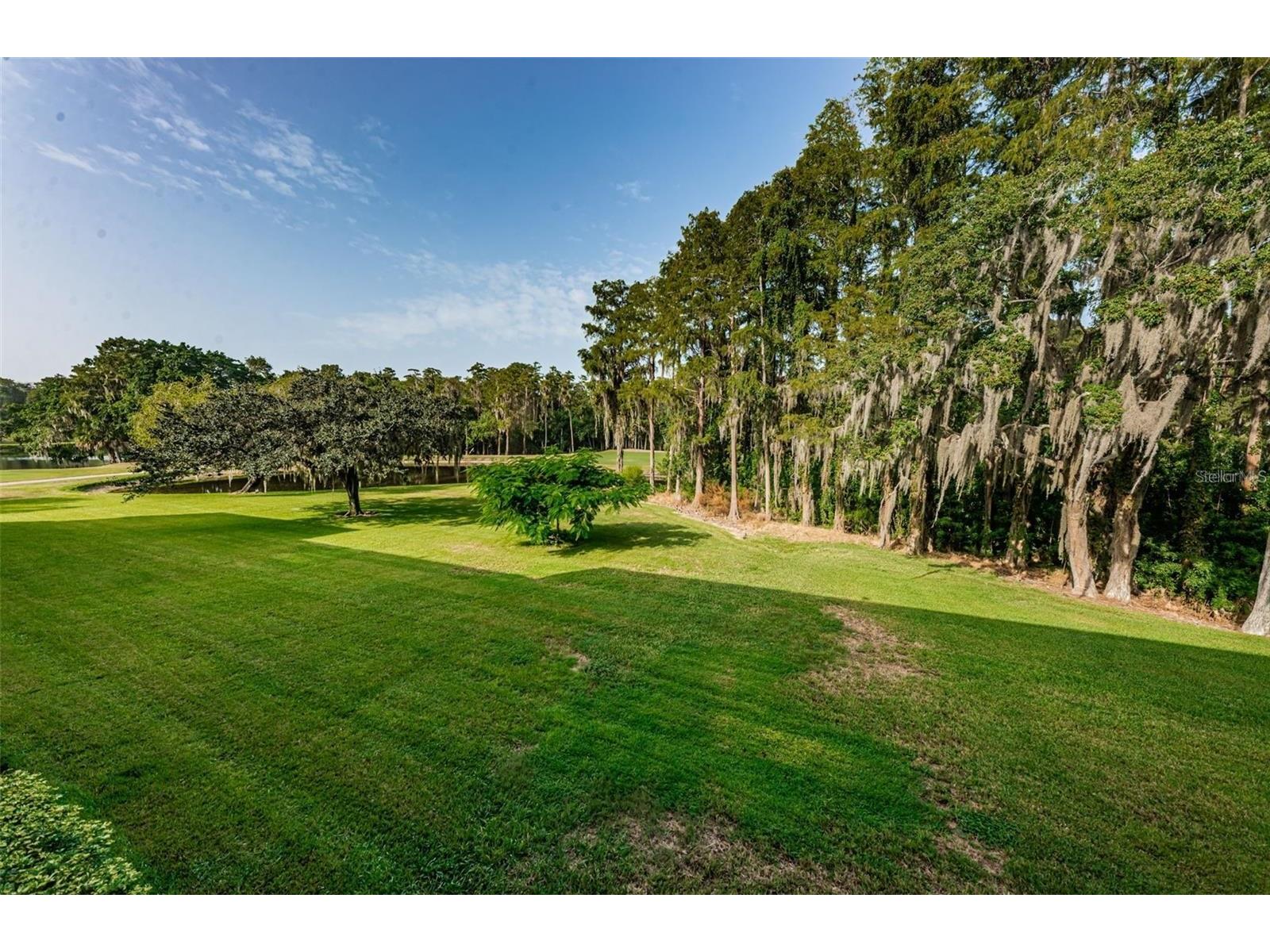 36750 Us 19 N #3-124 Palm Harbor FL 34684 TB8374642 image71