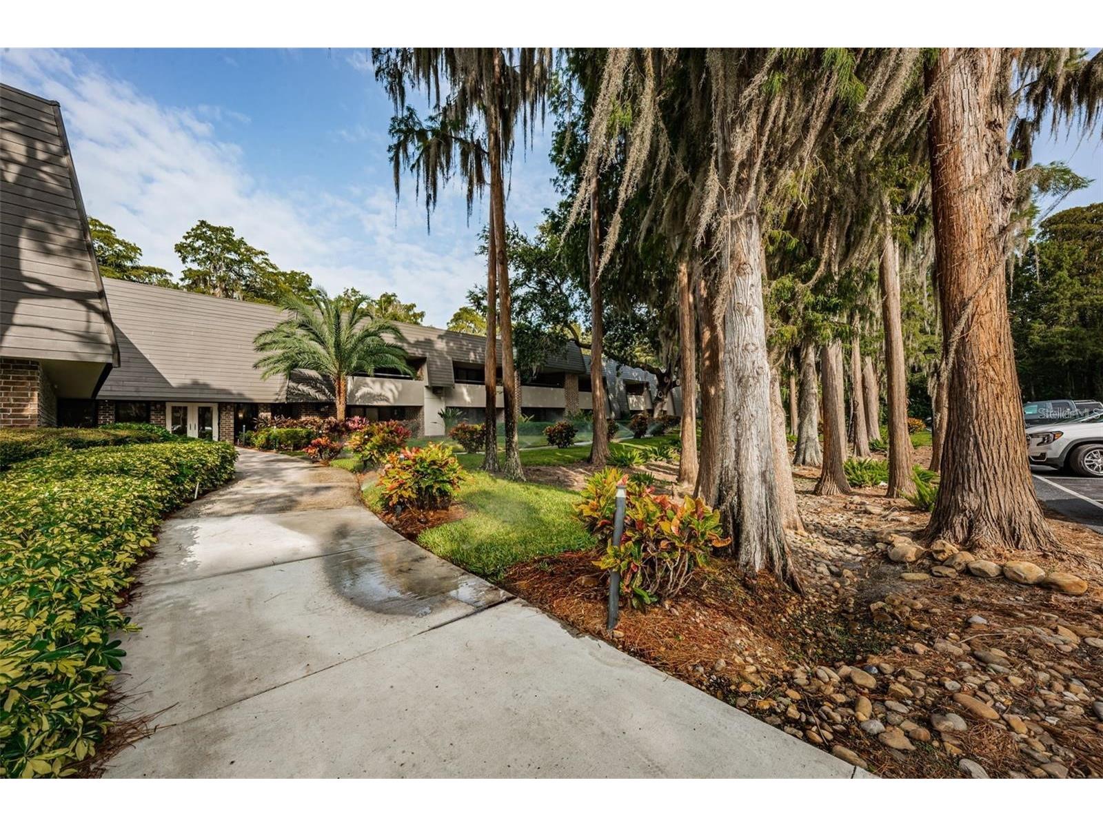 36750 Us 19 N #3-124 Palm Harbor FL 34684 TB8374642 image74