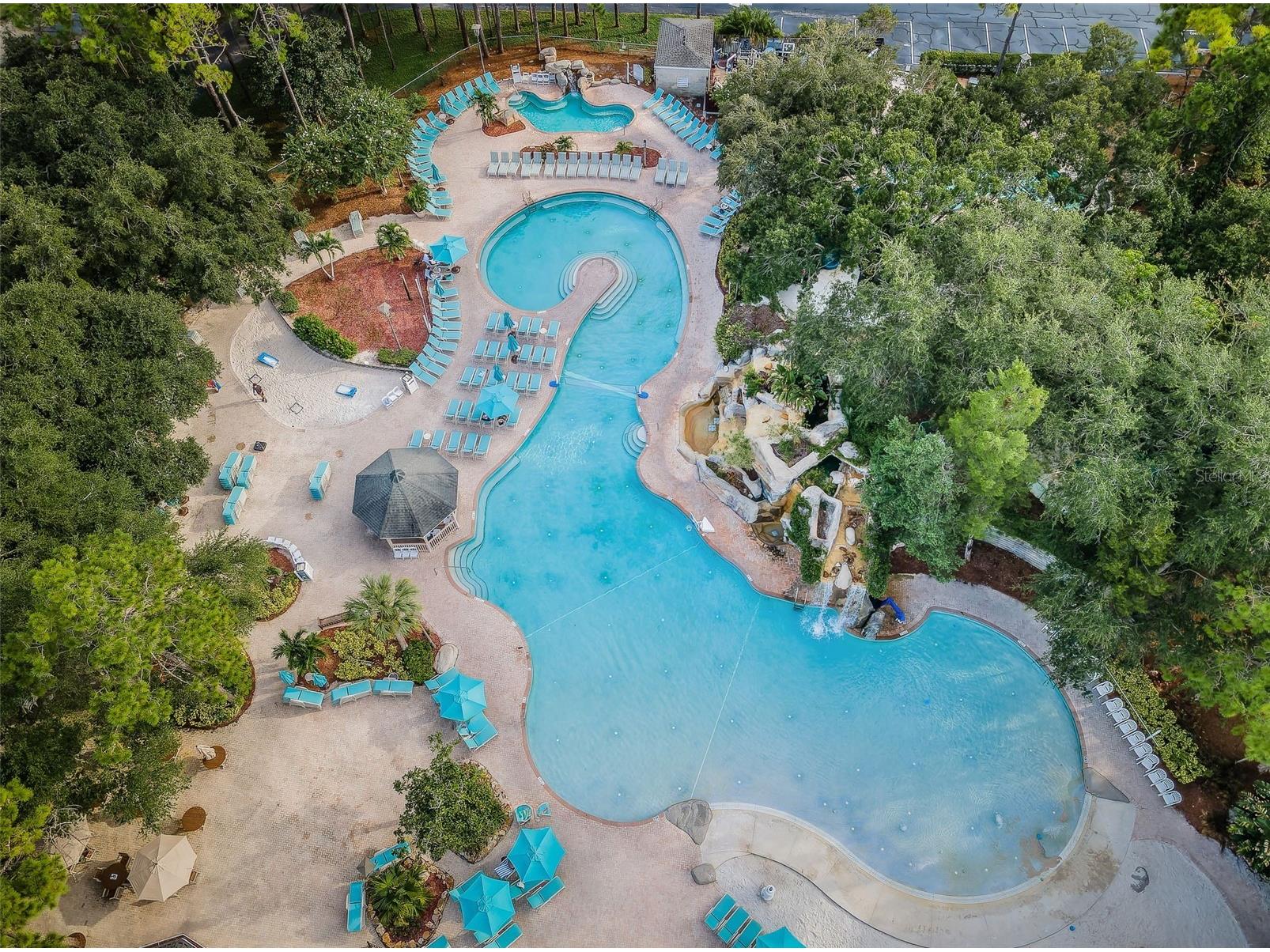 36750 Us 19 N #3-124 Palm Harbor FL 34684 TB8374642 image76