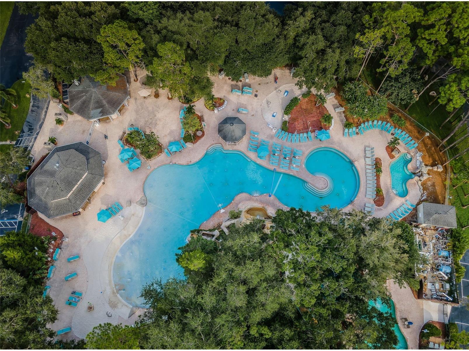 36750 Us 19 N #3-124 Palm Harbor FL 34684 TB8374642 image77