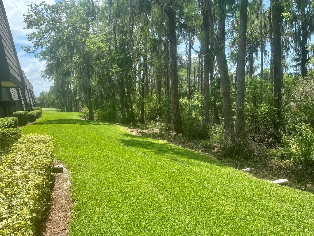 36750 Us 19 N #3-124 Palm Harbor FL 34684 TB8374642 image8