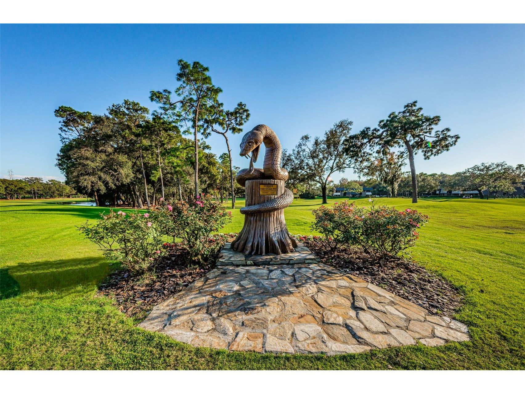 36750 Us 19 N #3-124 Palm Harbor FL 34684 TB8374642 image82