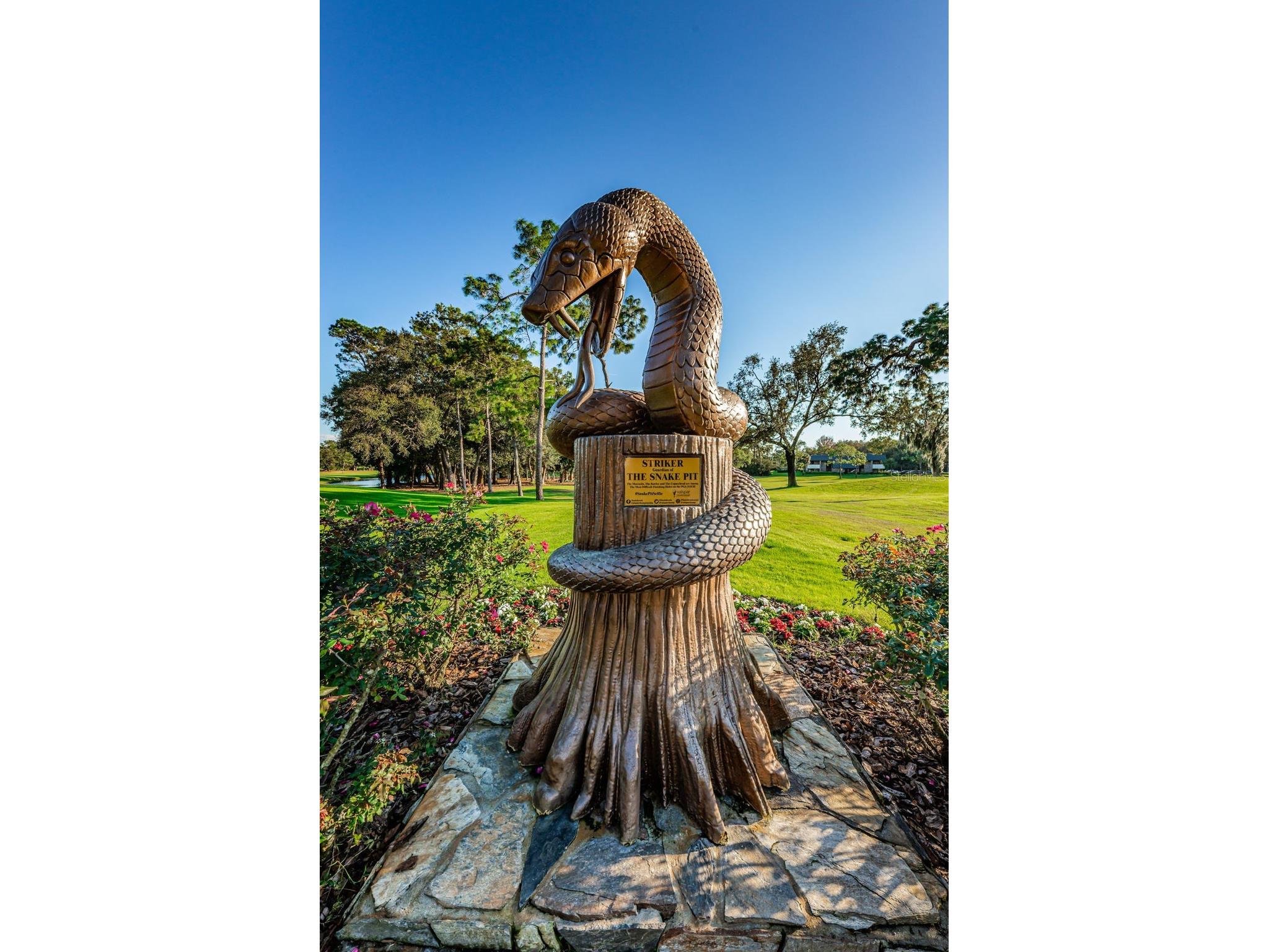 36750 Us 19 N #3-124 Palm Harbor FL 34684 TB8374642 image83