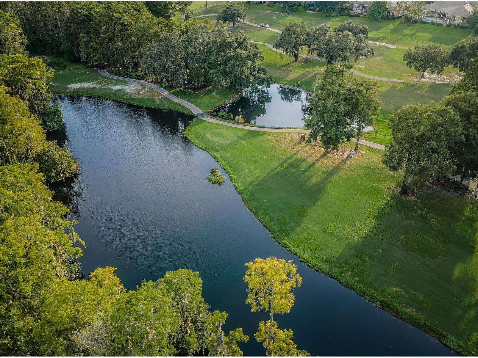 36750 Us 19 N #3-124 Palm Harbor FL 34684 TB8374642 image84