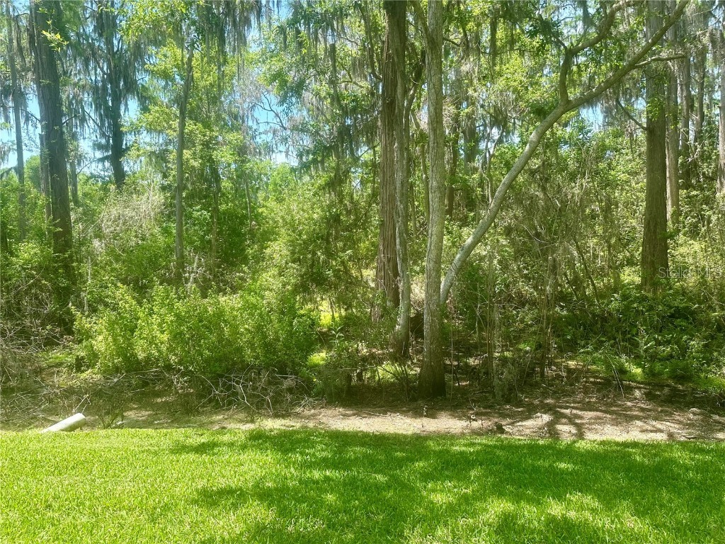 36750 Us 19 N #3-124 Palm Harbor FL 34684 TB8374642 image9