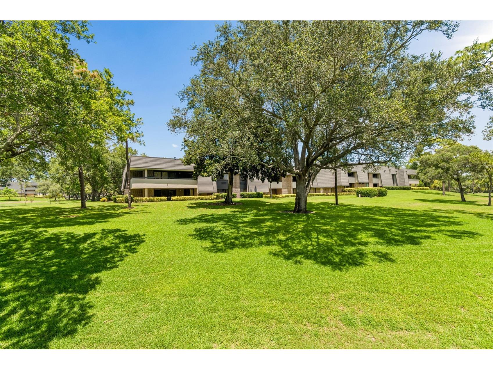 36750 Us Highway 19 #21202 Palm Harbor FL 34684 TB8510667 image53