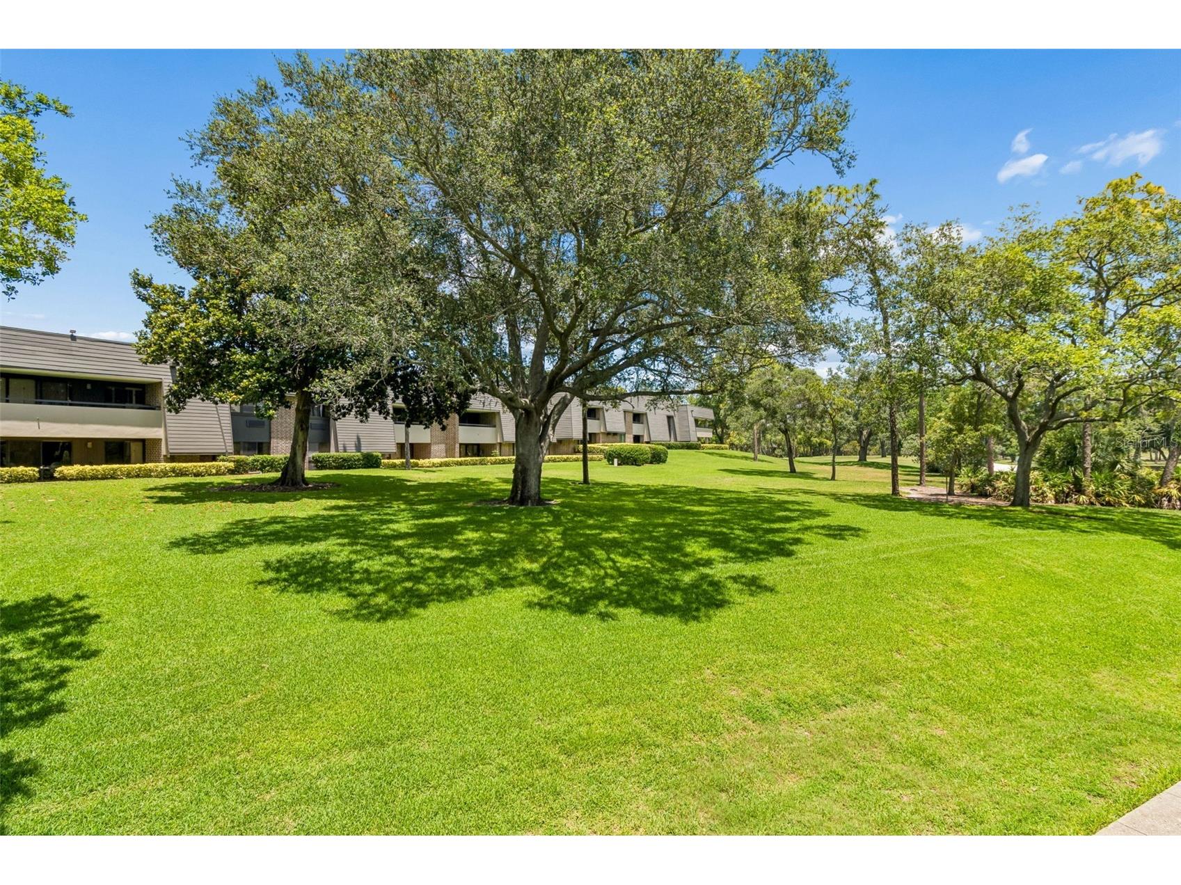 36750 Us Highway 19 #21202 Palm Harbor FL 34684 TB8510667 image54