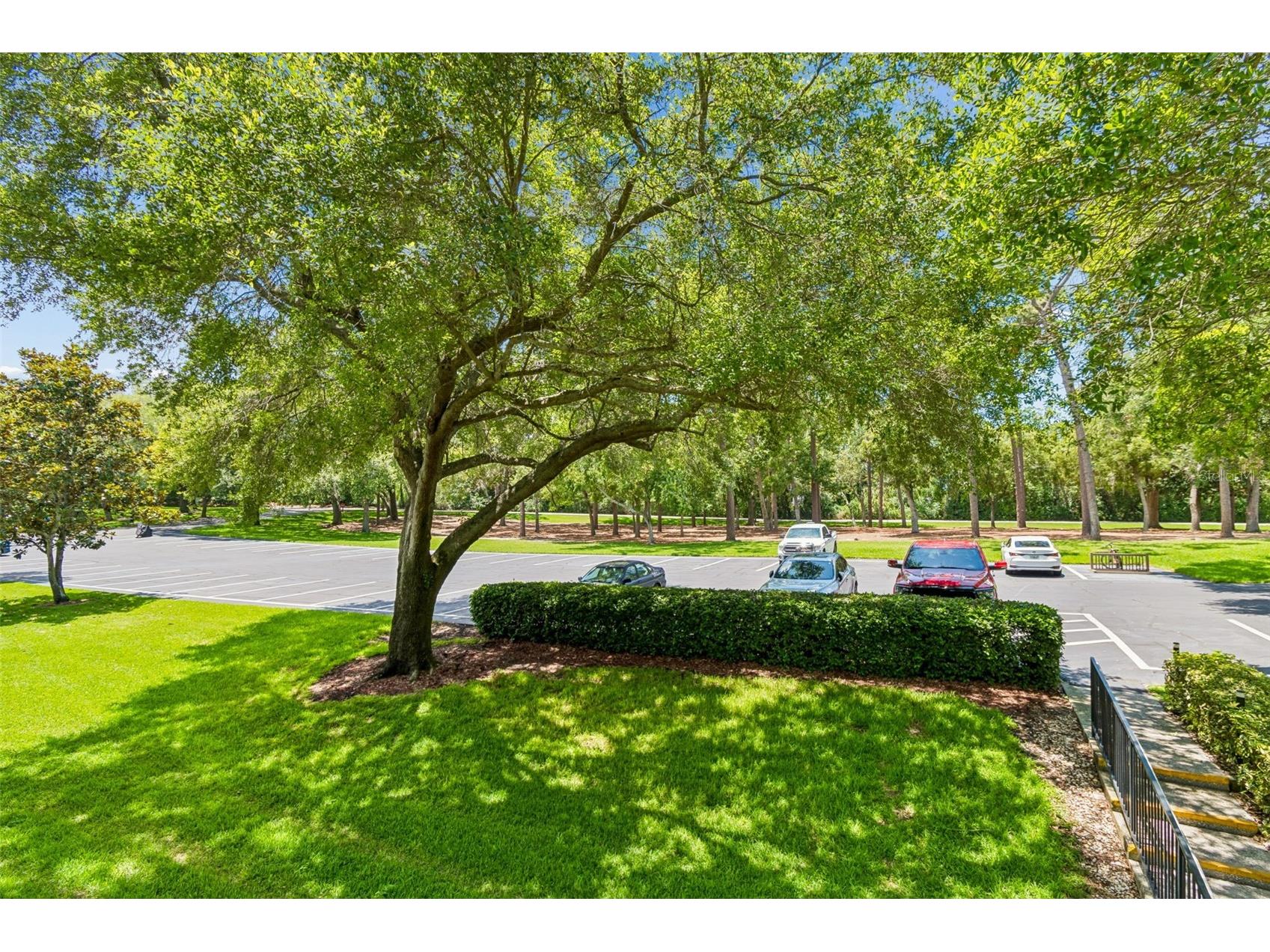 36750 Us Highway 19 #21202 Palm Harbor FL 34684 TB8510667 image55