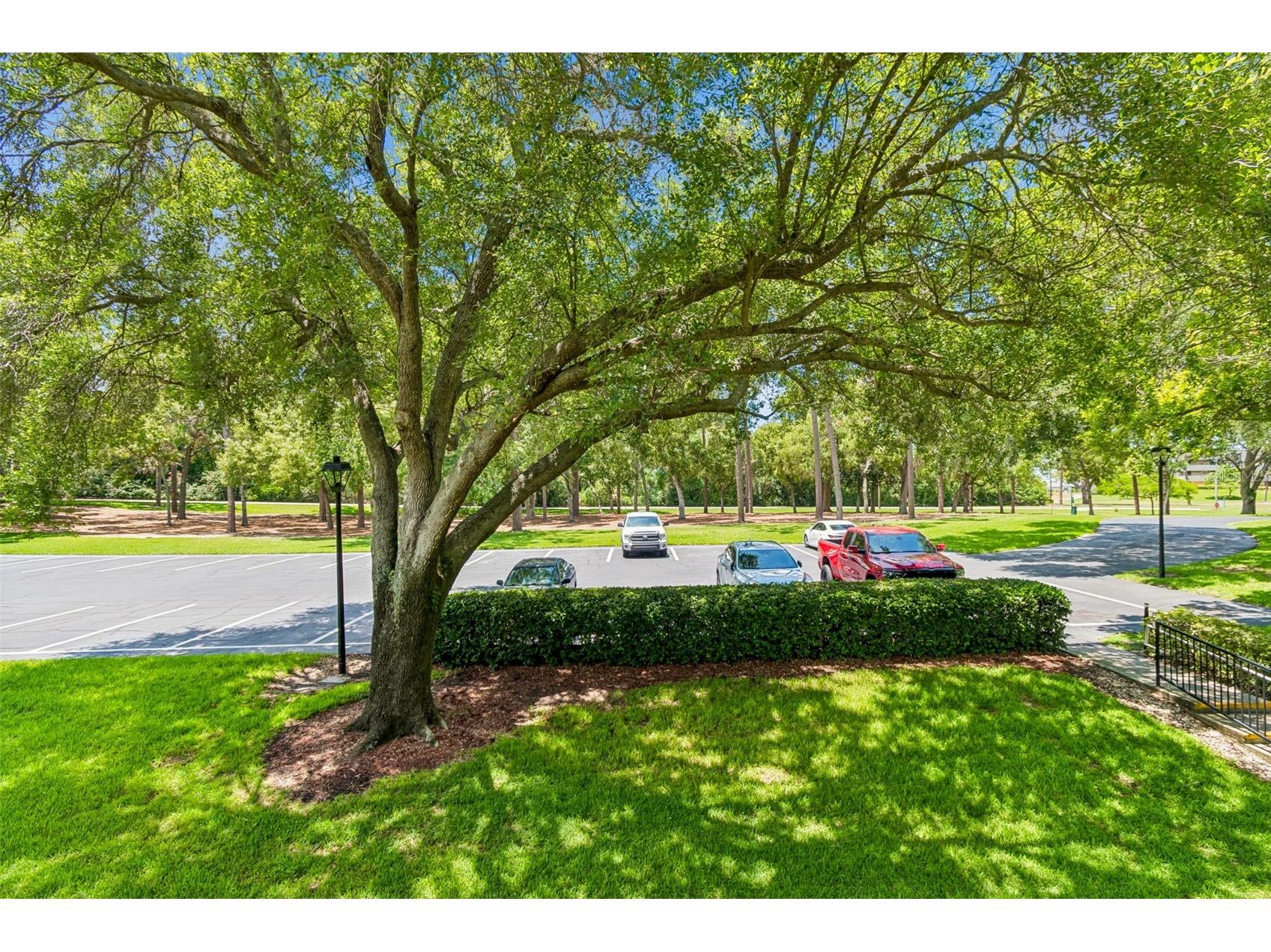 36750 Us Highway 19 #21202 Palm Harbor FL 34684 TB8510667 image56