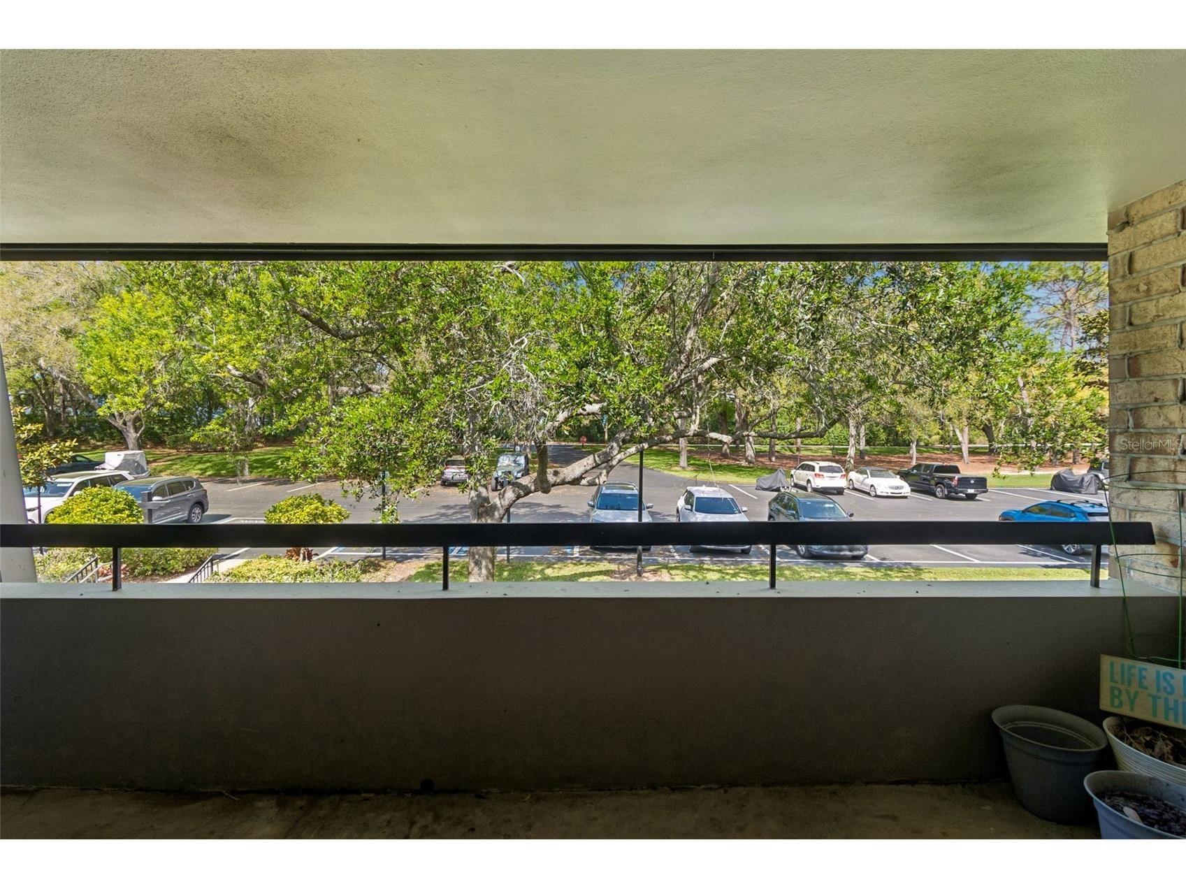 36750 Us Highway 19 #21214 Palm Harbor FL 34684 TB8487370 image22