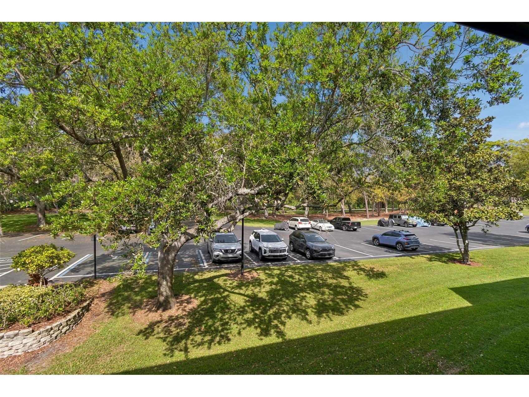 36750 Us Highway 19 #21214 Palm Harbor FL 34684 TB8487370 image25