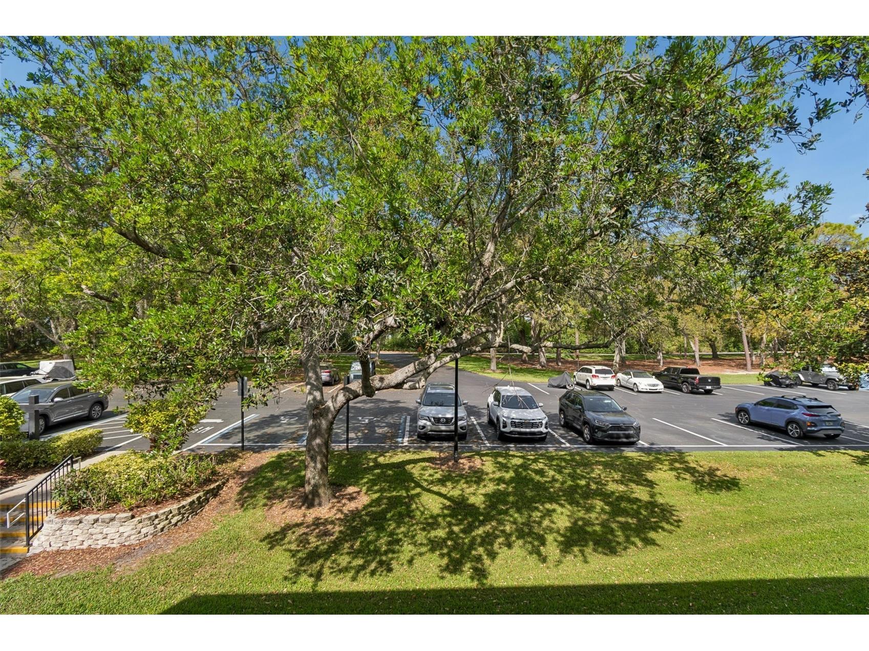 36750 Us Highway 19 #21214 Palm Harbor FL 34684 TB8487370 image26