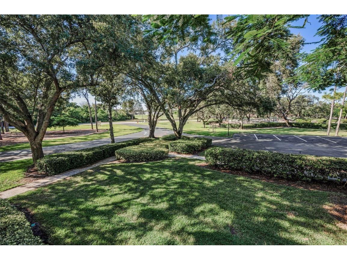 36750 Us Highway 19 #22-202 Palm Harbor FL 34684 TB8440032 image50