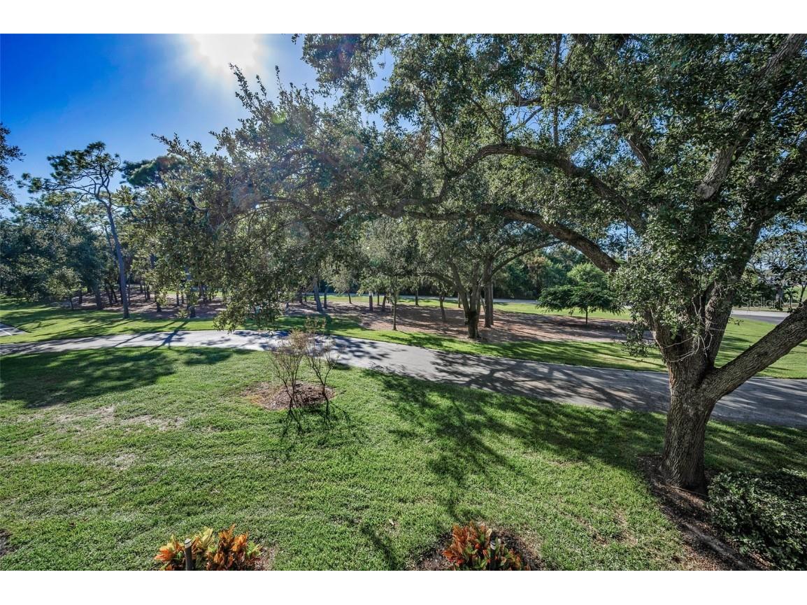 36750 Us Highway 19 #22-202 Palm Harbor FL 34684 TB8440032 image51