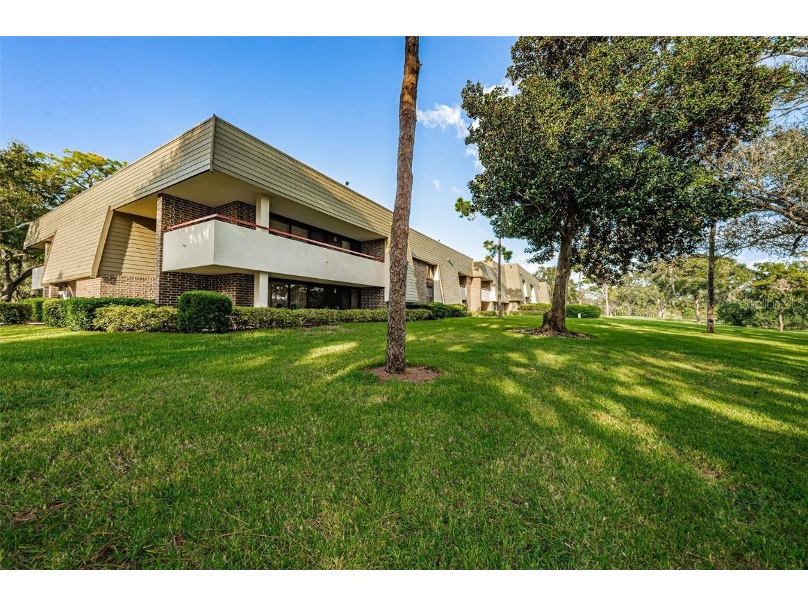 36750 Us Highway 19 #22-202 Palm Harbor FL 34684 TB8440032 image52