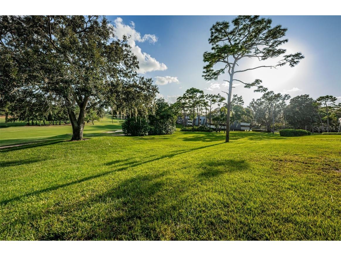 36750 Us Highway 19 #22-202 Palm Harbor FL 34684 TB8440032 image66