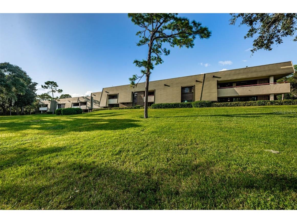 36750 Us Highway 19 #22-202 Palm Harbor FL 34684 TB8440032 image67