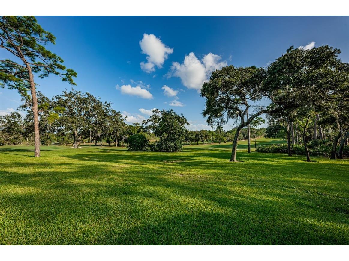 36750 Us Highway 19 #22-202 Palm Harbor FL 34684 TB8440032 image68