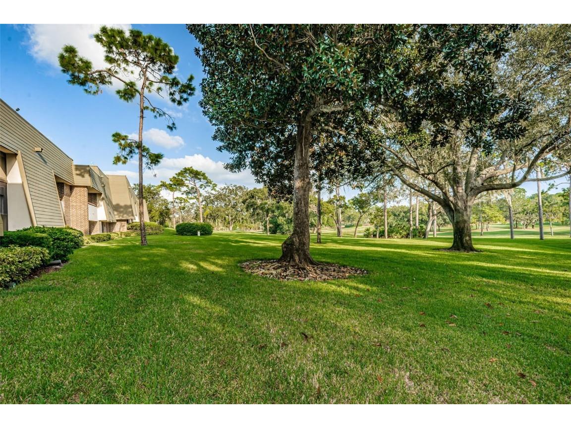 36750 Us Highway 19 #22-202 Palm Harbor FL 34684 TB8440032 image69