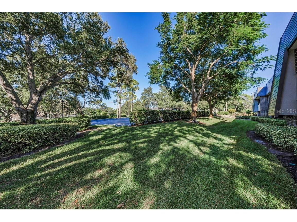 36750 Us Highway 19 #22-202 Palm Harbor FL 34684 TB8440032 image7