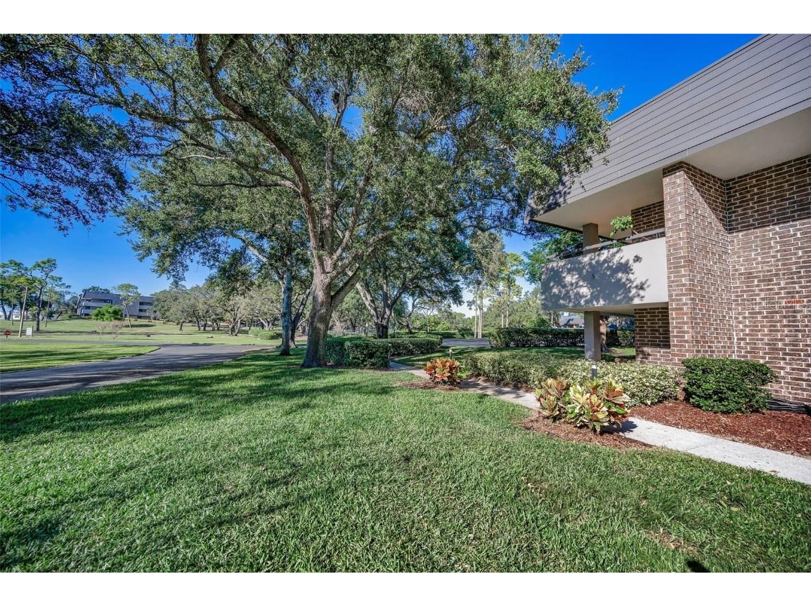 36750 Us Highway 19 #22-202 Palm Harbor FL 34684 TB8440032 image71