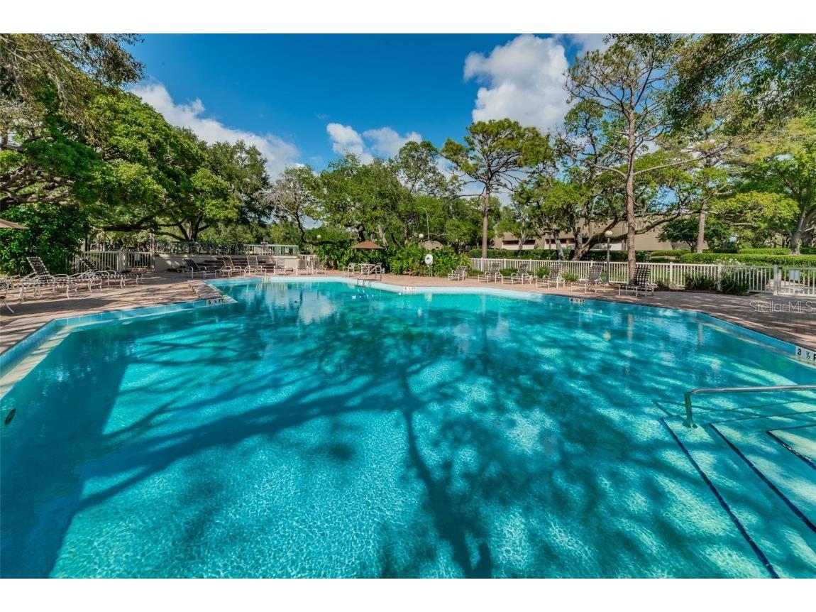 36750 Us Highway 19 #22-202 Palm Harbor FL 34684 TB8440032 image73