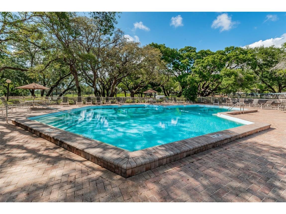 36750 Us Highway 19 #22-202 Palm Harbor FL 34684 TB8440032 image74