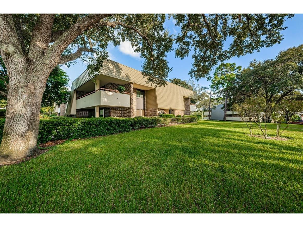 36750 Us Highway 19 #22-202 Palm Harbor FL 34684 TB8440032 image77